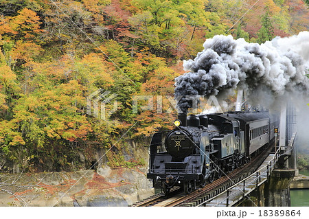 紅葉の只見線ＳＬ 18389864