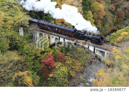 紅葉の只見線ＳＬ 18389877