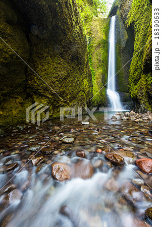 Lower Oneonta falls in Columbia river gorge 18390633
