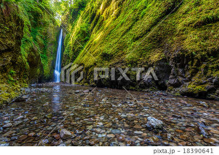 Lower Oneonta falls in Columbia River Gorge, OR 18390641