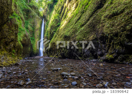 Beautiful nature in Oneonta Gorge trail, Oregon. Beautiful nature in Oneonta Gorge trail, Oregon. 18390642