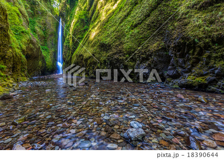 Beautiful nature in Oneonta Gorge trail, Oregon. Beautiful nature in Oneonta Gorge trail, Oregon. 18390644