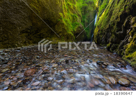 Beautiful waterfall in Oneonta Gorge trail, Oregon Beautiful waterfall in Oneonta Gorge trail, Oregon 18390647