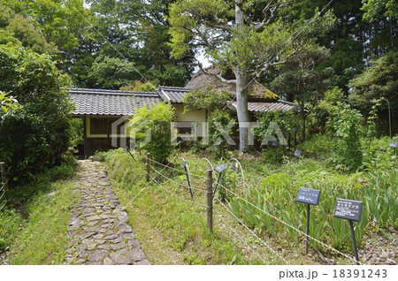 森野旧薬園 18391243