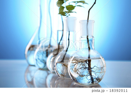 Laboratory glassware equipment, Experimental plant 18392011