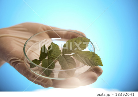 Chemistry equipment, plants laboratory  18392041