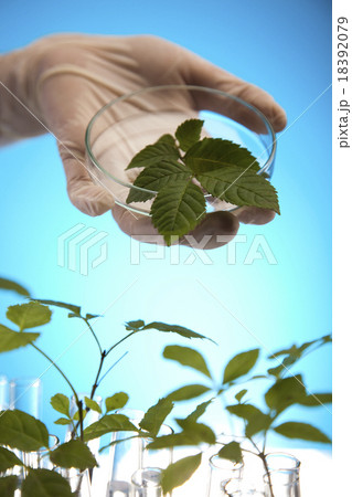 Laboratory glassware, bio organic modern concept Laboratory glassware, bio organic modern concept 18392079