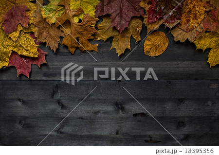 Wood autumn background 18395356