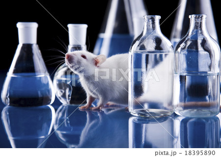 Laboratory equipment, bright modern chemical  18395890