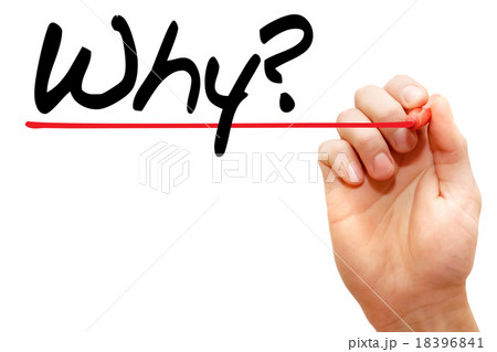 Why question 18396841