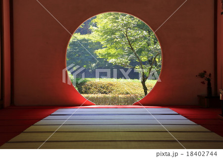 明月院 明月院 18402744