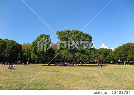 秋の公園 18403784