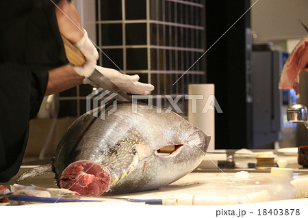 マグロ解体ショー 18403878