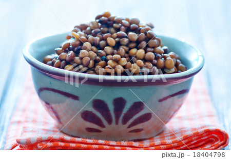lentil 18404798