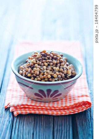 lentil 18404799