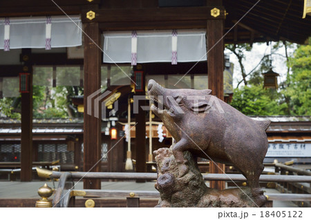 護王神社 狛猪 18405122