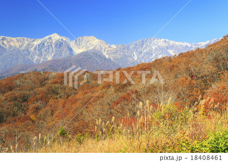 岩岳マウンテンビュー 18408461