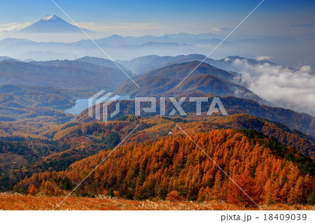 大菩薩峠・唐松尾根と富士山 18409039