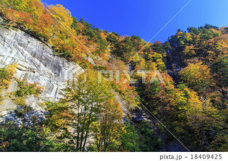 奥裾花渓谷 18409425