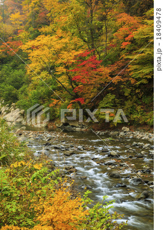 奥裾花渓谷 18409478