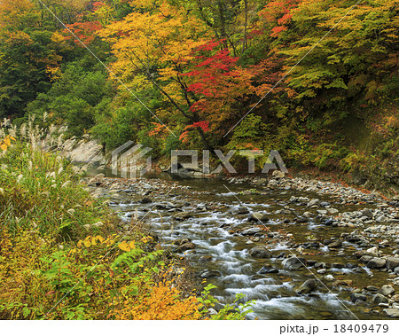 奥裾花渓谷 18409479
