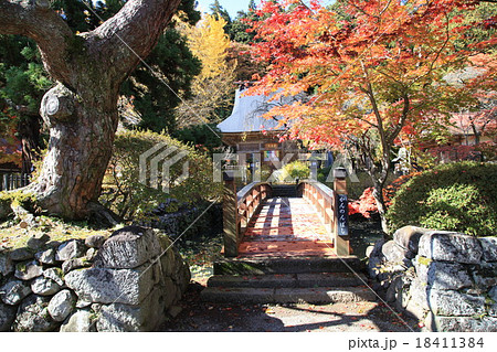 津金寺 18411384