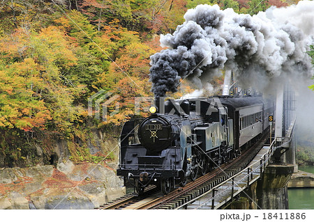 紅葉の只見線ＳＬ 18411886