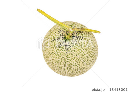高級マスクメロン Fresh high quality cantaloupe 高級マスクメロン Fresh high quality cantaloupe 18413001