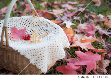 紅葉　イメージ 18414840