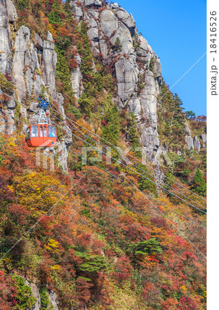 御在所岳の紅葉 18416526