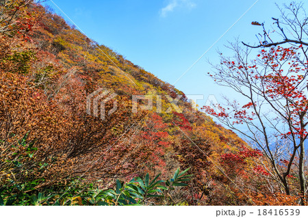 御在所岳の紅葉 御在所岳の紅葉 18416539