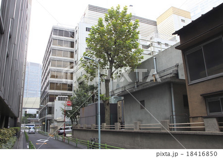 東京都中央区八重洲（2丁目路地） 18416850