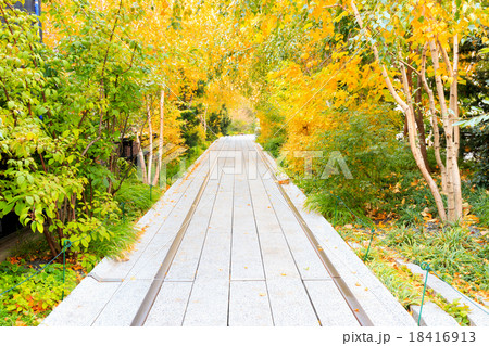 Autumn at the High Line in New York City 18416913