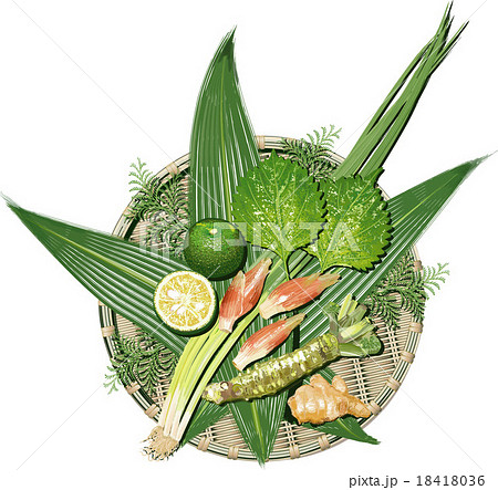 薬味のイラスト素材