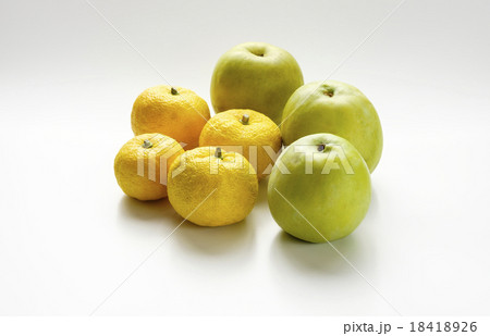 カリンと柚子 18418926