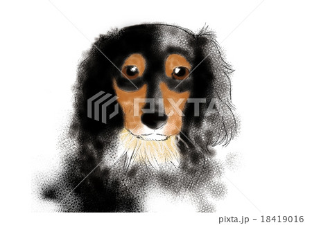 ダックスフント03 18419016