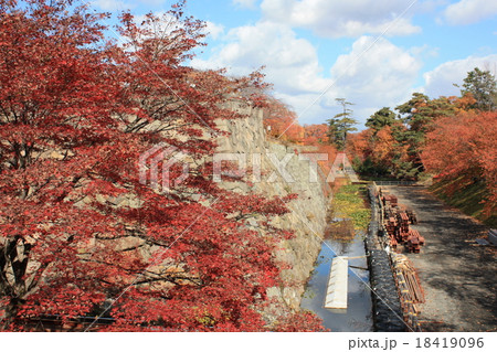 弘前公園 弘前公園 18419096