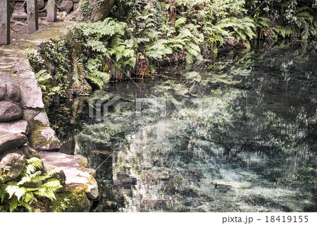 塩井社水源 南阿蘇村湧水群 塩井社水源 南阿蘇村湧水群 18419155