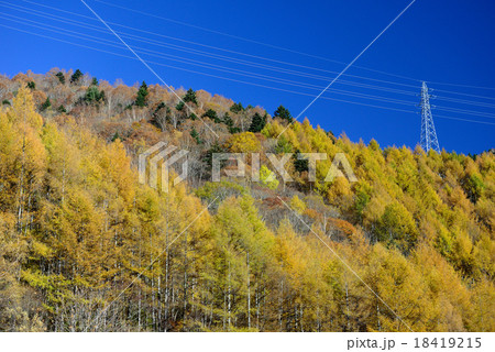 平湯峠の紅葉 平湯峠の紅葉 18419215