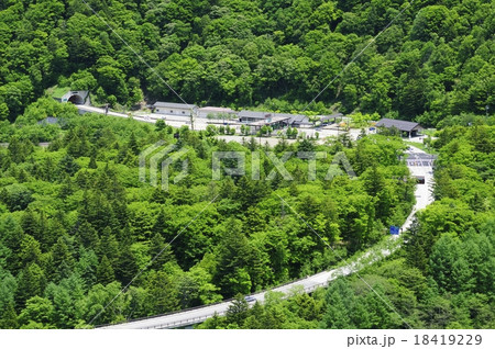 新緑の平湯峠 新緑の平湯峠 18419229