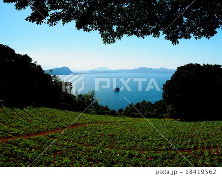 能古島 能古島 18419562