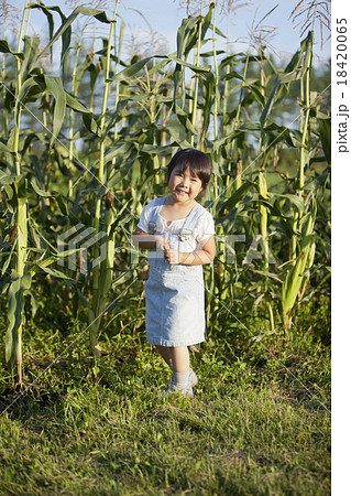 家庭菜園 家庭菜園 18420065