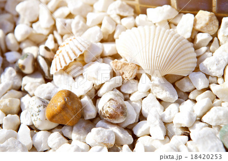 sea shells stones frame sea shells stones frame 18420253