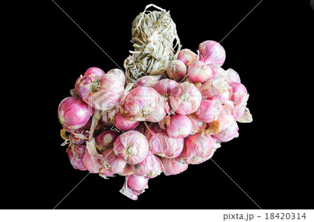 Shallot onions in a group Shallot onions in a group 18420314