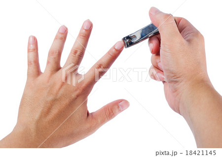 Nails cutting on the white background. Nails cutting on the white background. 18421145