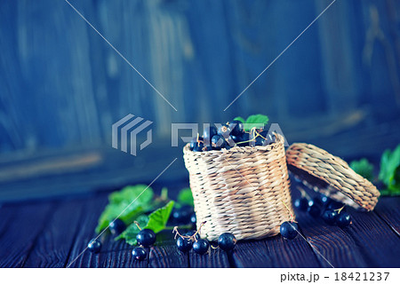 black currant 18421237