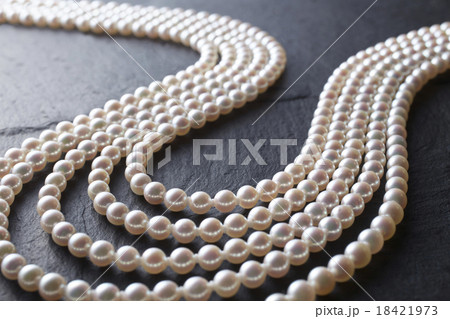 パール 18421973