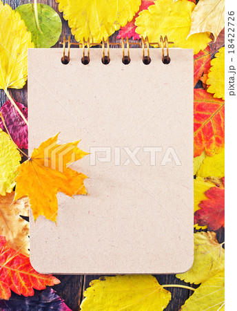 autumn leaves autumn leaves 18422726