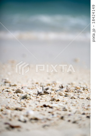 little stones on beach little stones on beach 18424149