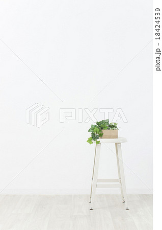 観葉植物と椅子 観葉植物と椅子 18424539